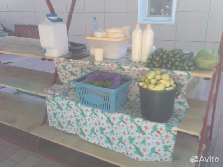 Молоко, сыр, масло, сливки,творог