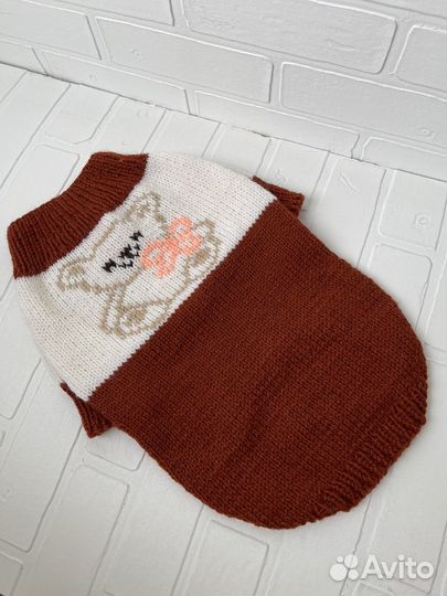 Вязаная одежда для собак