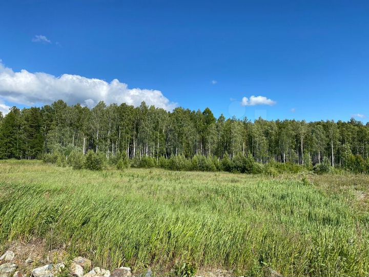 Участок 20 сот. (СНТ, ДНП)