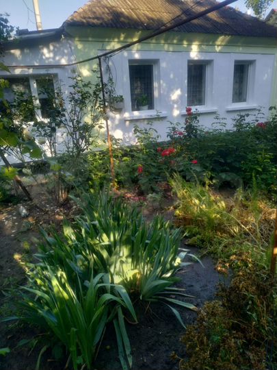 Дом 66,5 м² на участке 8 сот.