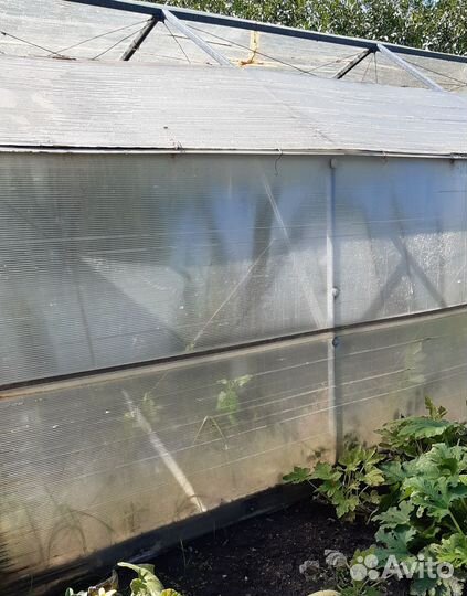 Теплица поликарбонат бу