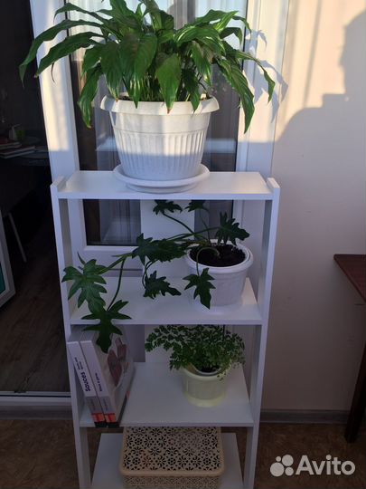 Полка напольная для книг, цветов