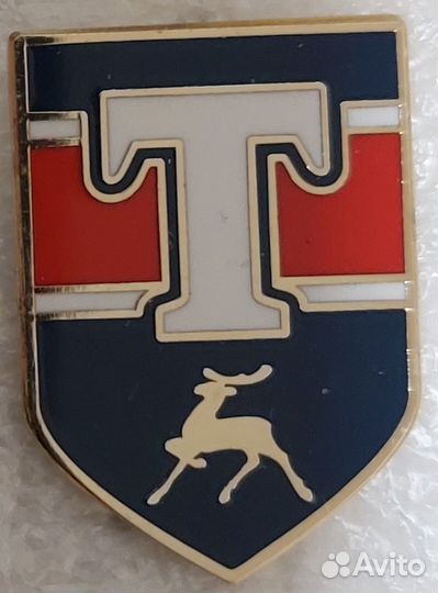 Значки хк Торпедо