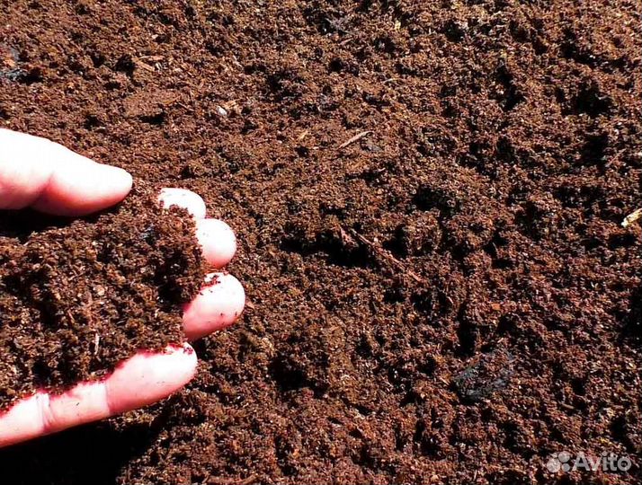 Перегной конский