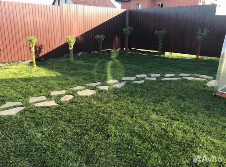 Рулонный газон