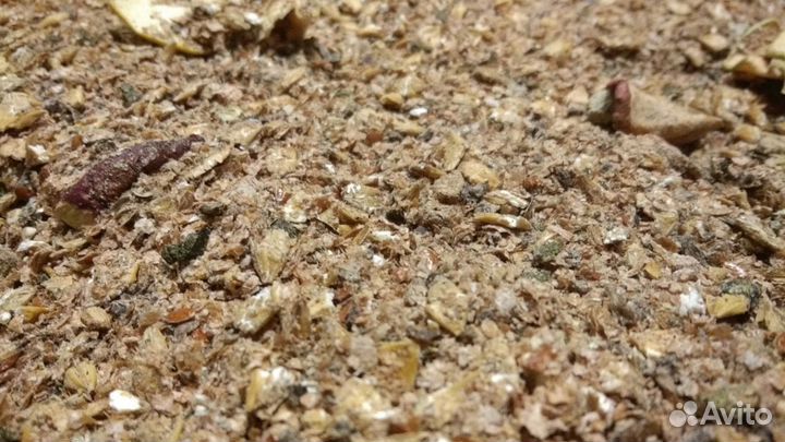 Мэш для Лошадей и Пони 25кг