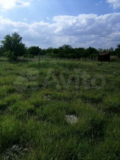 Участок 12 сот. (СНТ, ДНП)