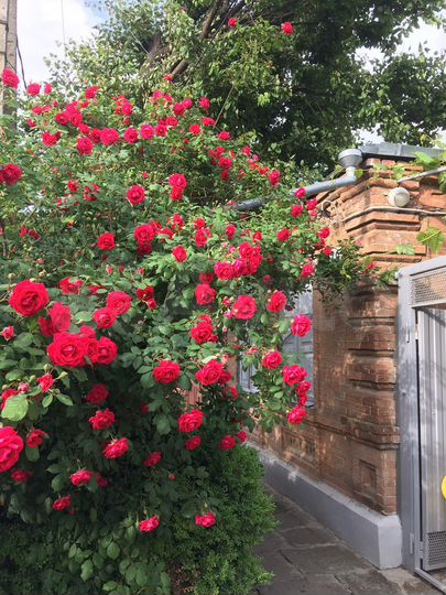 Дом 30 м² на участке 2,5 сот.