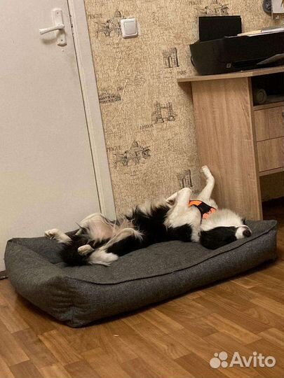 Лежанка для большой собаки XXL