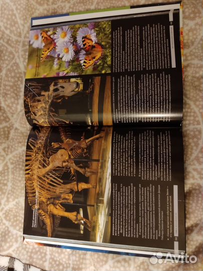 История земли