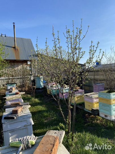 Пчелоинвентарь