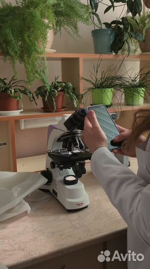 Репетитор по Биологии, Химии, Математике