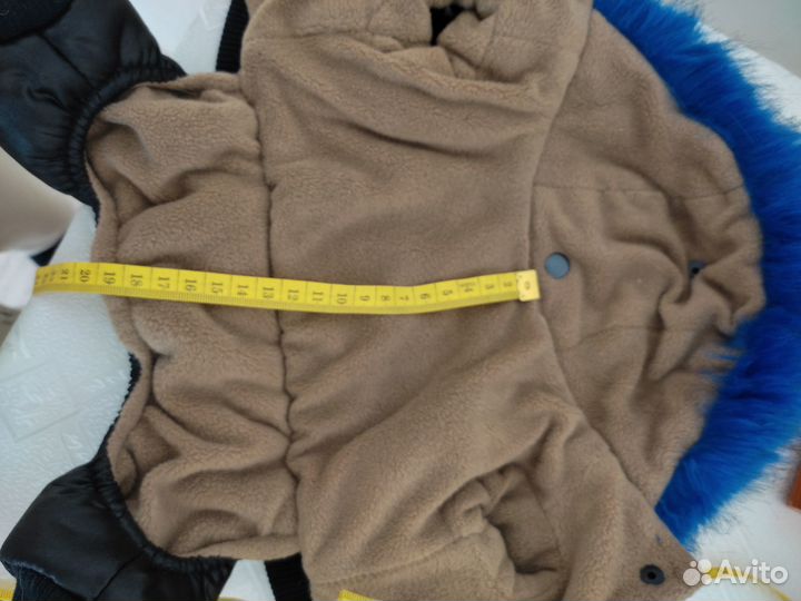 Одежда для чихуахуа