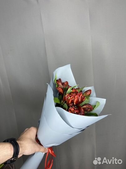 Букет из 5 красных альстромерий