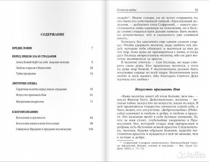 Бобринский Борис Сострадание Отчее