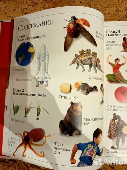 Дорлинг киндерсли книга знаний