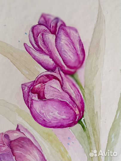 Картина акварель цветы Тюльпаны