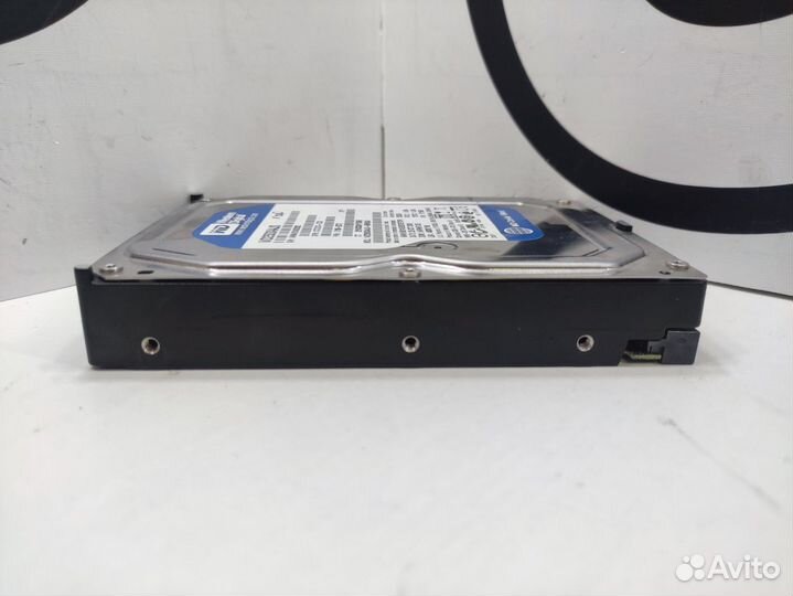 Жесткий диск Western Digital WD Blue 250 гб