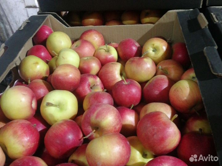 Яблоки айдаред