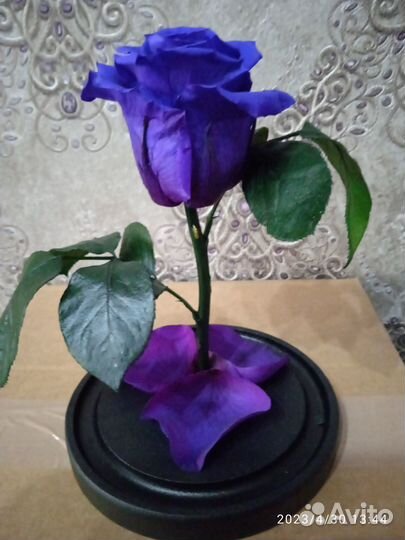 Вечная роза в колбе