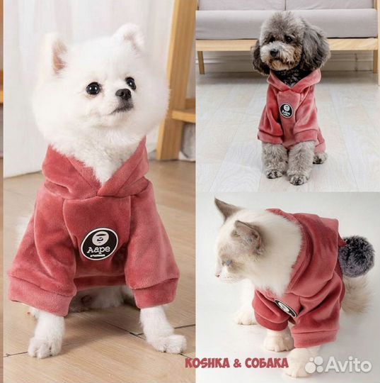 Одежда для животных