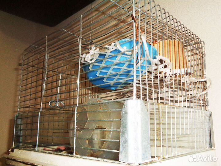 Старая клетка для птиц или хомяков