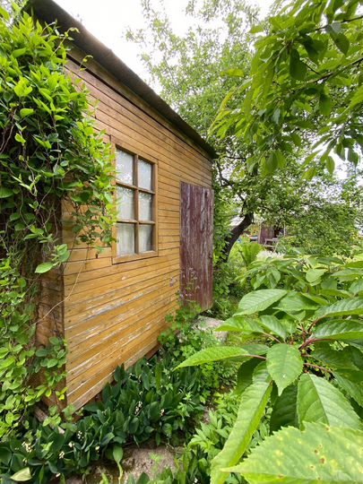 Дача 40 м² на участке 4,6 сот.