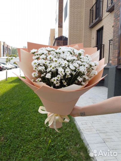 Букет цветов из хризантемы Сантини ромашка