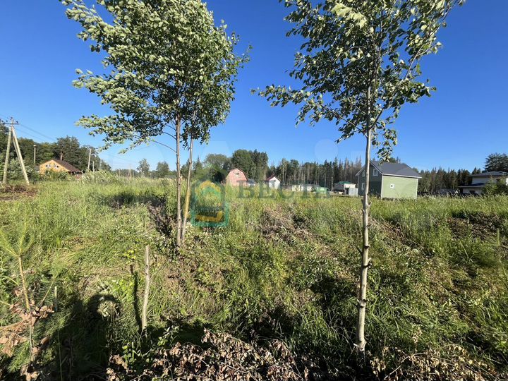 Участок 15 сот. (ИЖС)