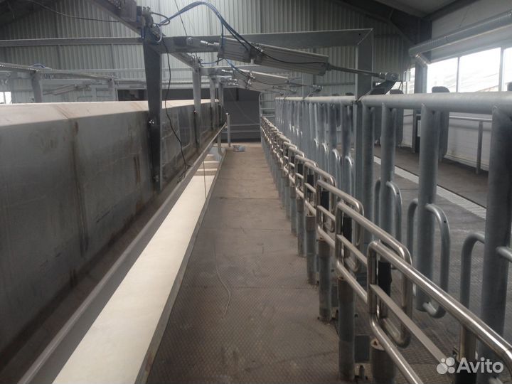 Доильный зал для коров Параллель