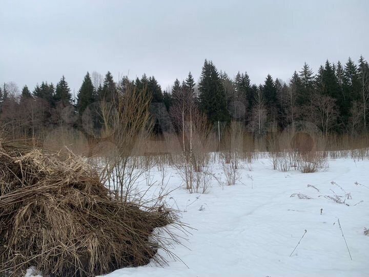 Участок 10 сот. (ИЖС)