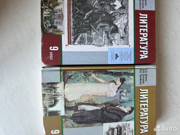 Учебники за 9 класс/Литература