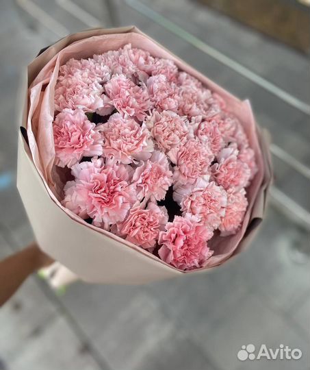 Диантусы букет (гвоздика)