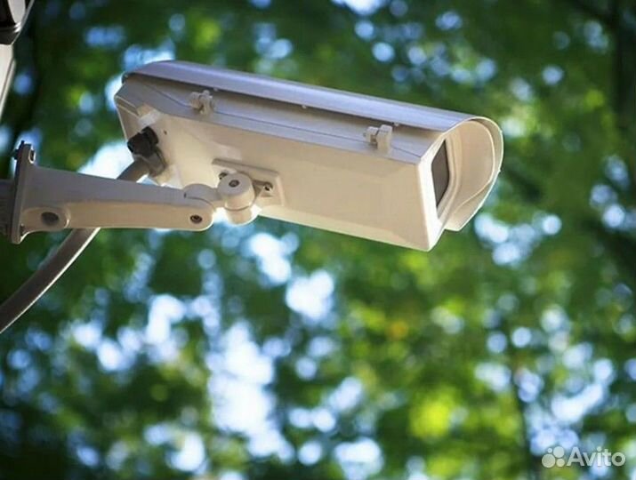 Видеонаблюдение в лесу