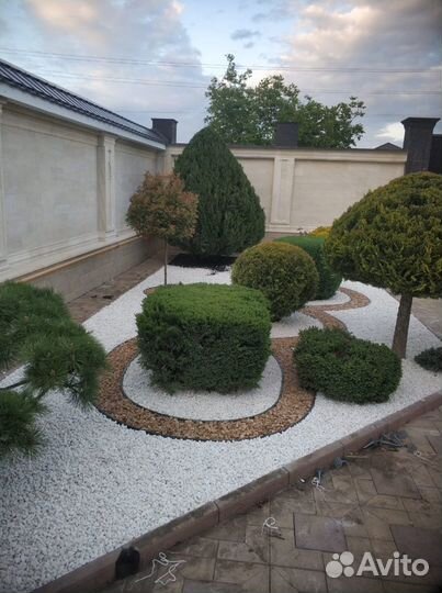 Садовый центр Садовод 07