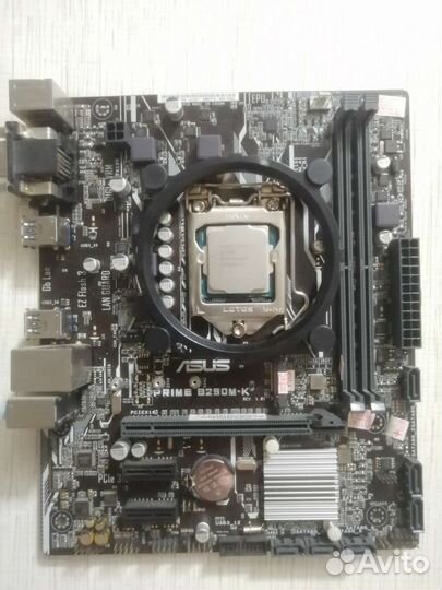 Asus prime b250m-k, +intel core i5 7500