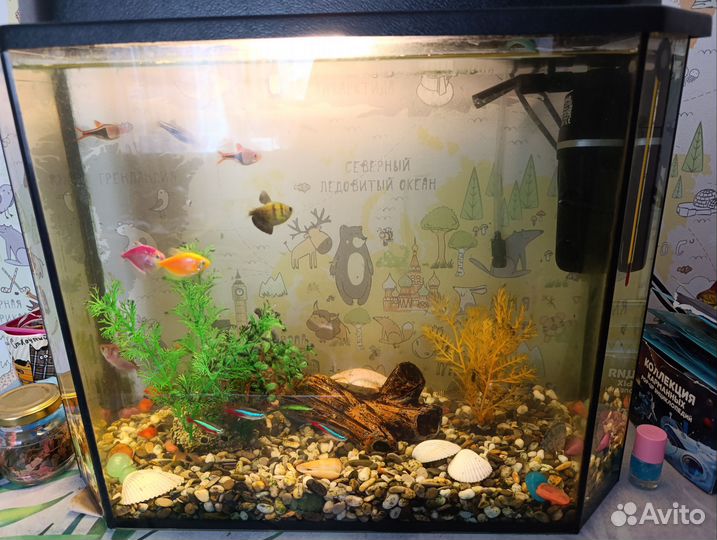 Аквариум с рыбками