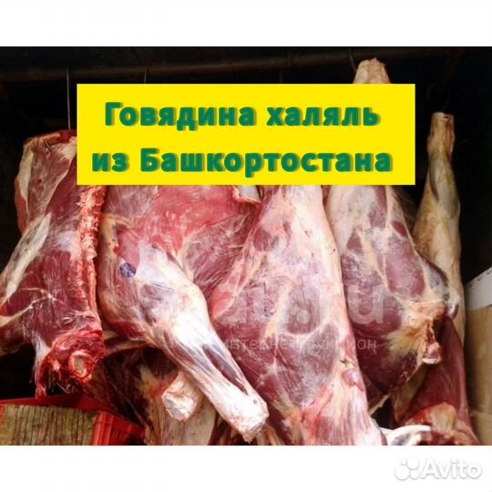Мясо говядина халяль из Башкирии