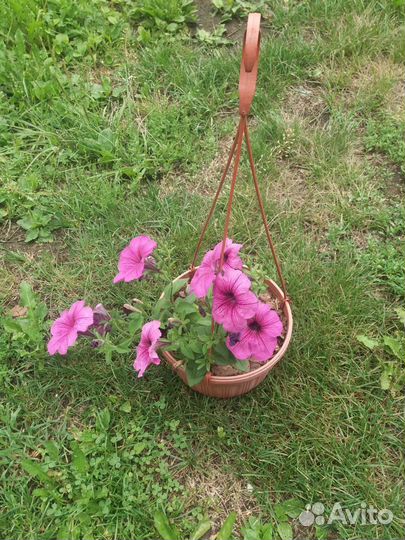 Кашпо подвесное для цветов
