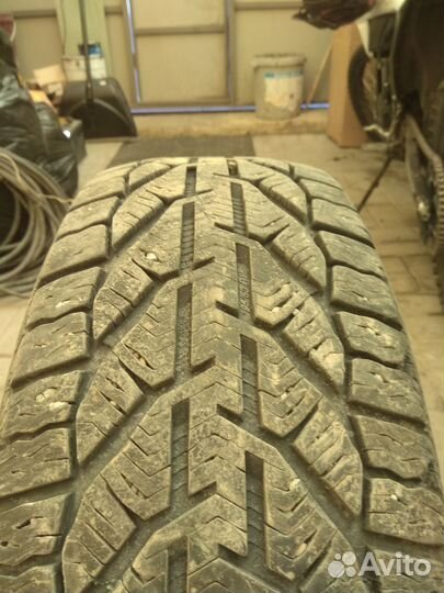 Tigar Winter 195/60 R15