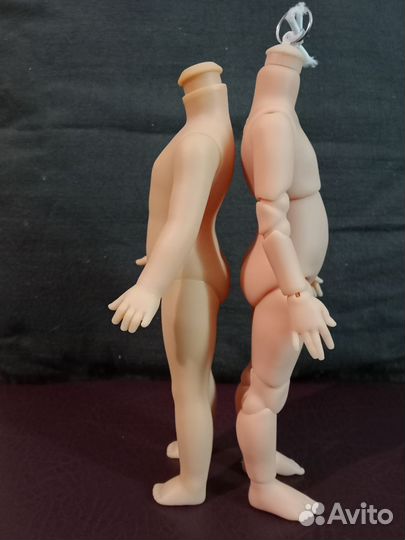 Шарнирное тело для мини Паола Рейна