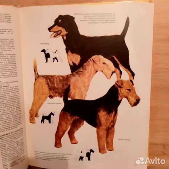 Книга Джоан Палмер 