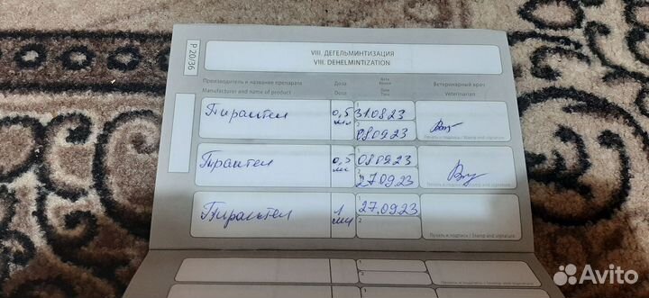 Щенки немецкой овчарки