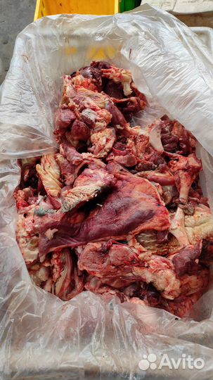 Рубец субпродукты для собак