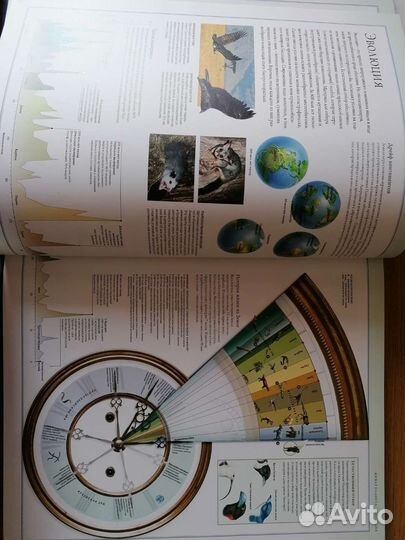 Иллюстрированный атлас Животный мир