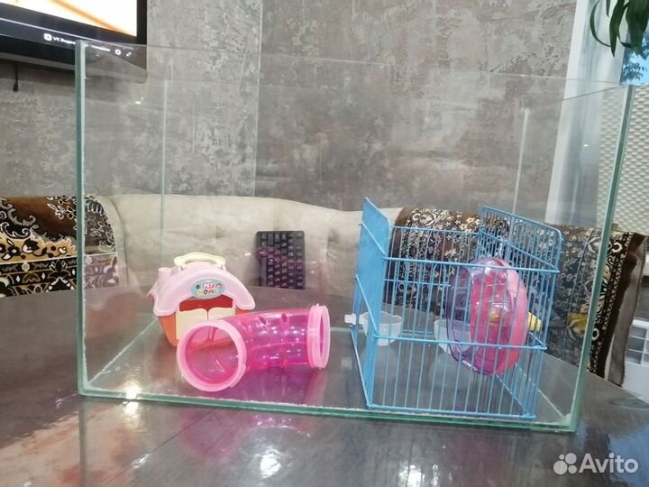Аквариум для хомяка