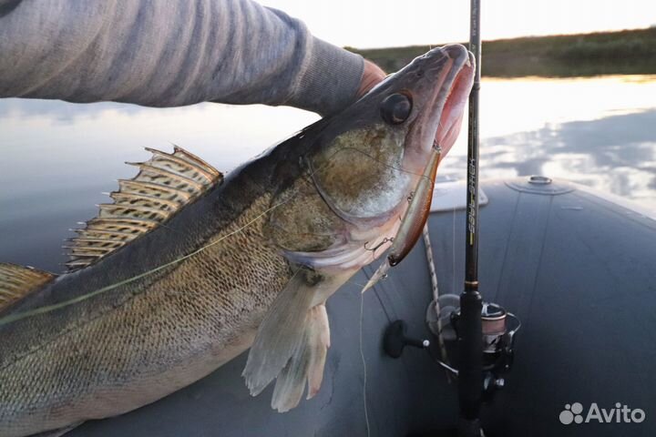 Рыбалка с гидом на спиннинг на реке Ока с лодки