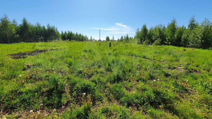 Участок 14,4 сот. (ИЖС)