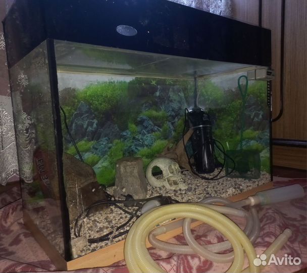 Аквариум