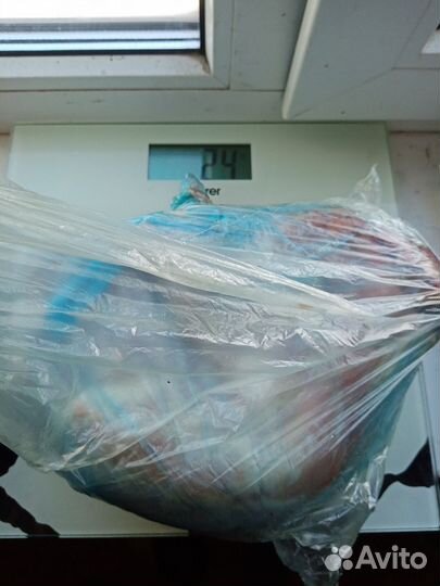 Мясо кролика цена за 2,4